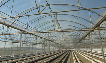 hivernacles-i-estructures