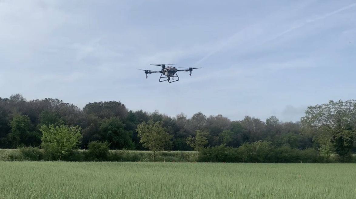 Assaig tractament amb Drom - Saiga