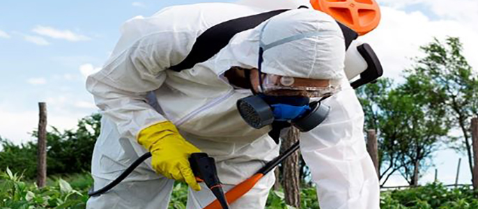 Home utilitzant productes fitosanitaris