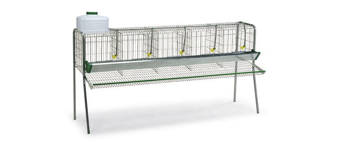 Gàbia de conills i gallines