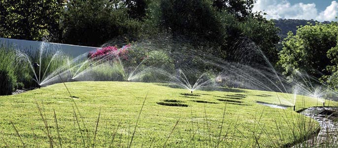 Cura i manteniment de la gespa, les plantes, arbustos i arbres del jardí