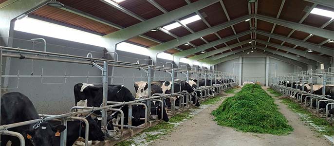 Instal·lacions ramaderes