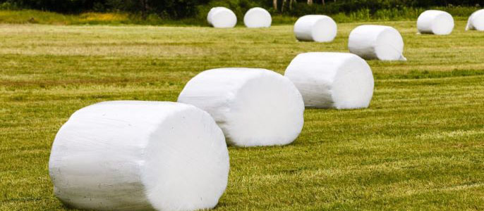 Ensitjament en bales. Bales embolicades de manera individual