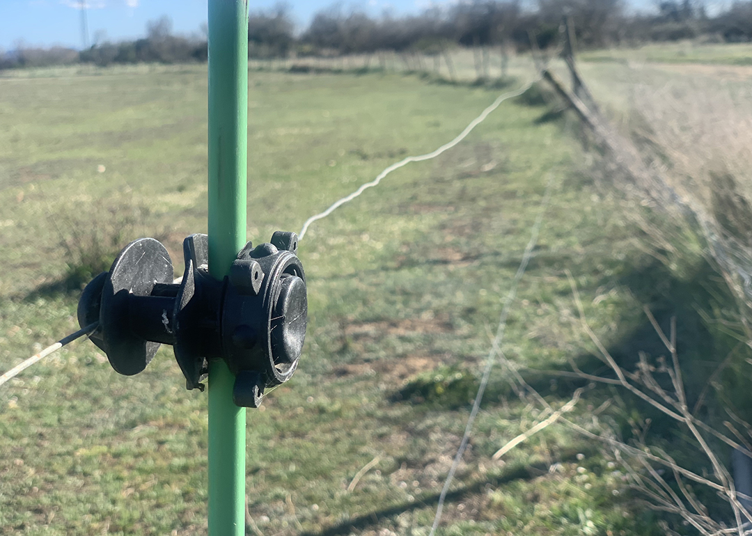 Tancaments amb pastors elèctrics són la solució